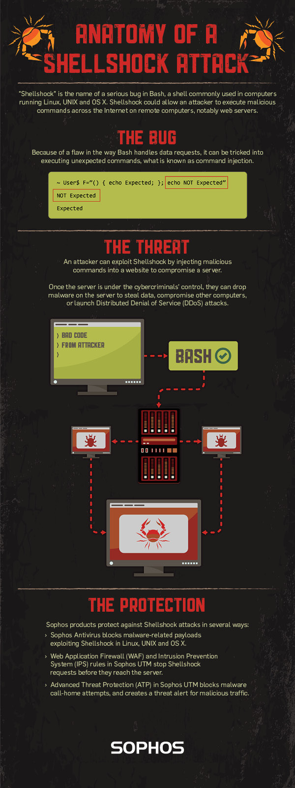 Sophos Bash Shellshock Infographic web plus size