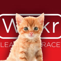 Facebook to fill with (more!) kittens in Wickr's message-hiding scheme