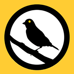 Canary Watch