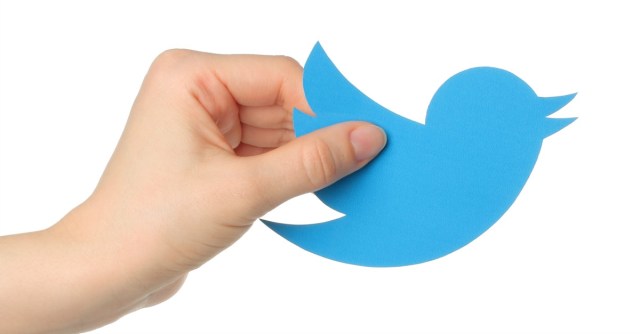 Twitter bird. Image courtesy of rvlsoft / Shutterstock.