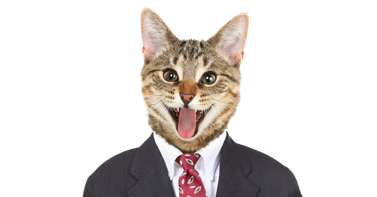 Me-OUCH! Facebook shuts accounts over image of cat wearing suit