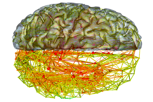 biological neural network