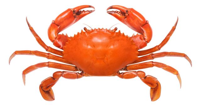 GandCrab ransomware revisited – is it back under a (R)evil new guise ...