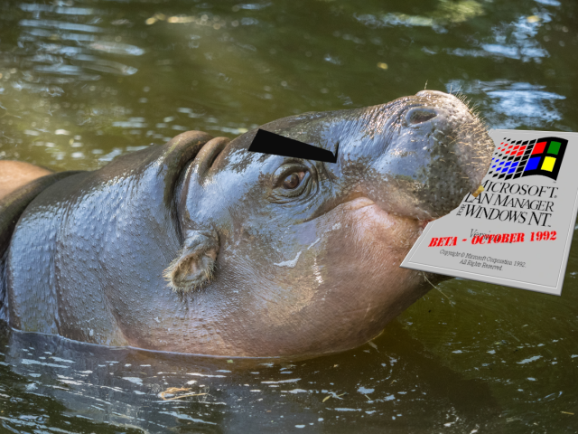 Pygmy Hippopotamus, photo by William Warby (https://www.flickr.com/photos/wwarby/19446821910)