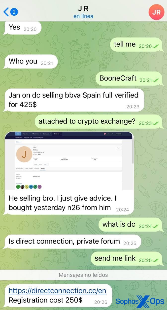 Another chat where a scammer sends a link to a fake marketplace