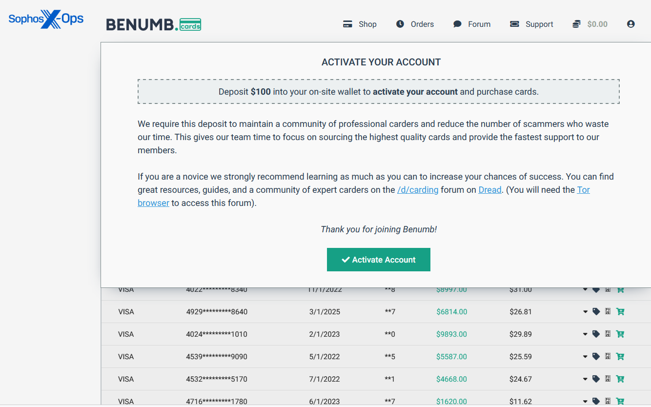 The fake Benumb homepage, with credit card numbers in the background