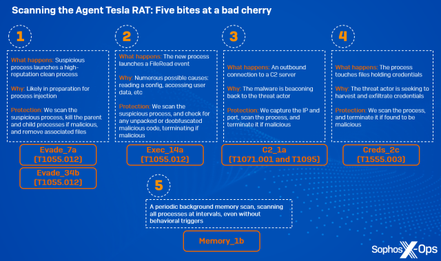 An image showing five memory protections against the Agent Tesla RAT