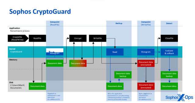 A flowchart diagram showing how CryptoGuard works