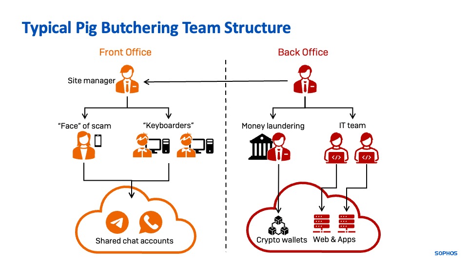 A chart displaying the roles and relationships within a pig butchering scam group