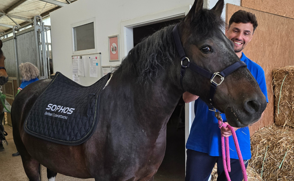 Sophos employee with horse with Sophos-branded saddle